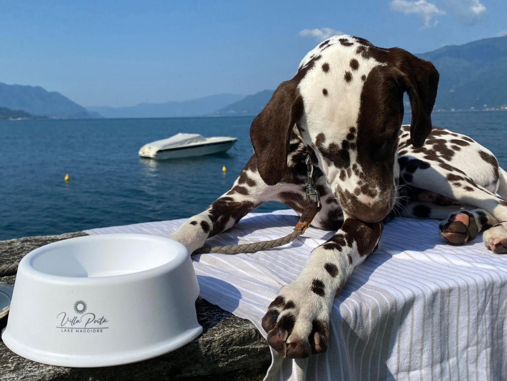Relais Villa Porta Luino Dış mekan fotoğraf